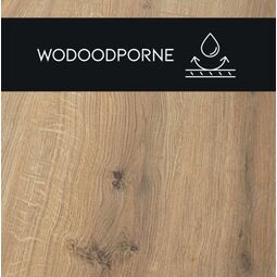 Premium Floor, Hydro 24, PREMIUM FLOOR DĄB PUSTYNNY 88139 JODEŁKA PANEL LAMINOWANY 128.8X19X0.8 