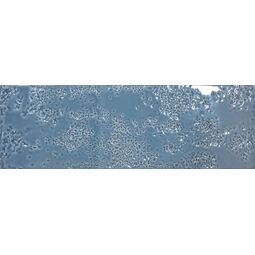 realonda kamado denim glossy gres 15x45