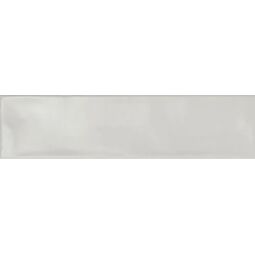 Ribesalbes, Ocean, RIBESALBES OCEAN LIGHT GREY MATT PŁYTKA ŚCIENNA 7.5X30 
