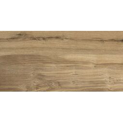 Stargres, Natural Wood, STARGRES NATURAL WOOD GREY GRES 30X60 G II 