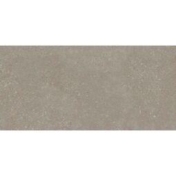 Stargres, Voyager, STARGRES VOYAGER TAUPE GRES REKTYFIKOWANY 30X60 G II 