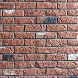 Stone Master, Loft Brick, STONE MASTER LOFT BRICK CEGŁA KAMIEŃ DEKORACYJNY 21.5X6.5 (0.56 M2) 