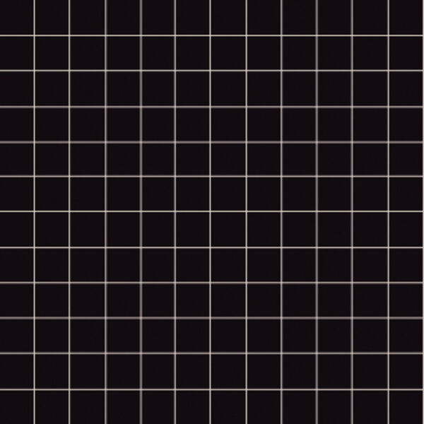 aparici nordic negro 2.5x2.5 mozaika 29.75x29.75 