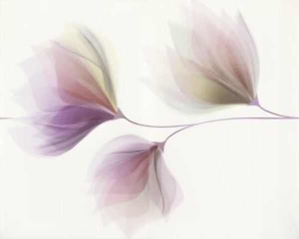 cersanit loris white flower dekor 40x50 
