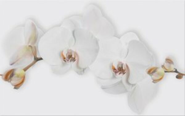 cersanit marisol white flower dekor 25x40 