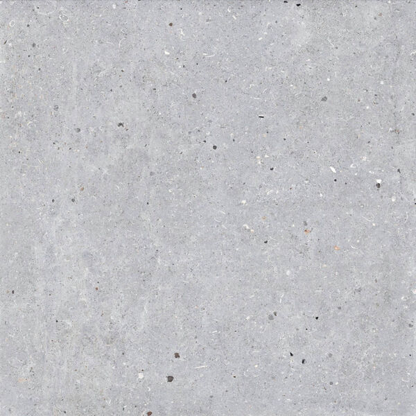 codicer messel silver gres 66x66 
