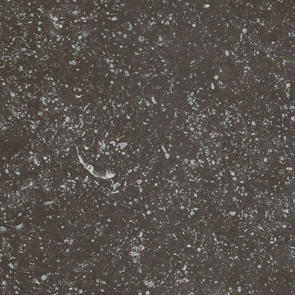 equipe ceramicas coralstone black gres 20x20 (23569) 