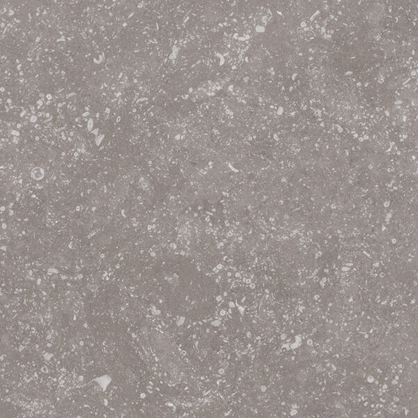equipe ceramicas coralstone grey gres 20x20 (23570) 