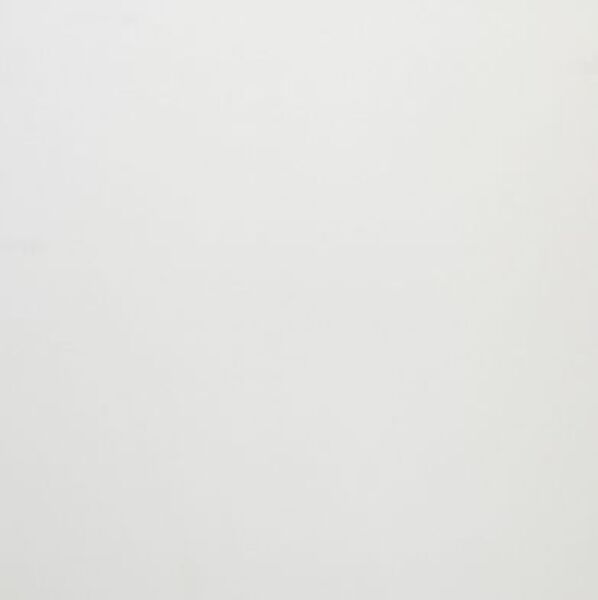 netto stardust white sugar gres rektyfikowany 60x60 