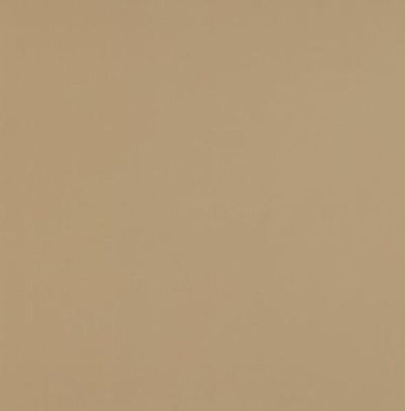 paradyż basic beige płyta tarasowa gres mat rektyfikowany 59.8x59.8x2 