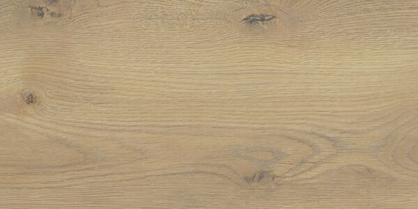 stargres taiga beige gres 31x62 