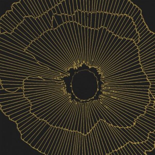 zdjęcie aparici art-deco black spritz natural gres rektyfikowany 29.75x29.75