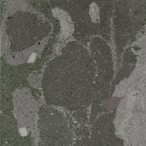 zdjęcie aparici lithops hopi stamp natural gres rektyfikowany 59.55x59.55