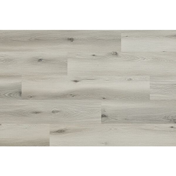 Arbiton Woodric EIR Acoustic Dąb Baltimore panel winylowy 22.9x122