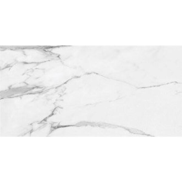 zdjęcie azteca da vinci white lux gres rektyfikowany 60x120 