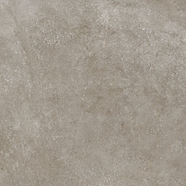 baldocer habitat taupe gres rektyfikowany 80x80 