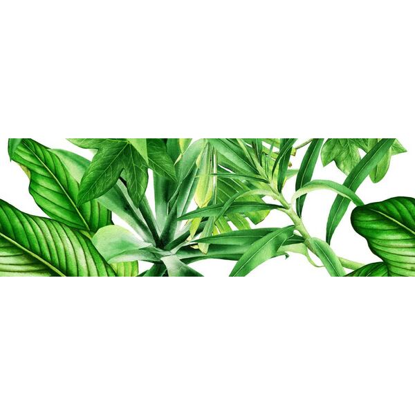 bianca garden tropic c dekor 25x75 bianca premium