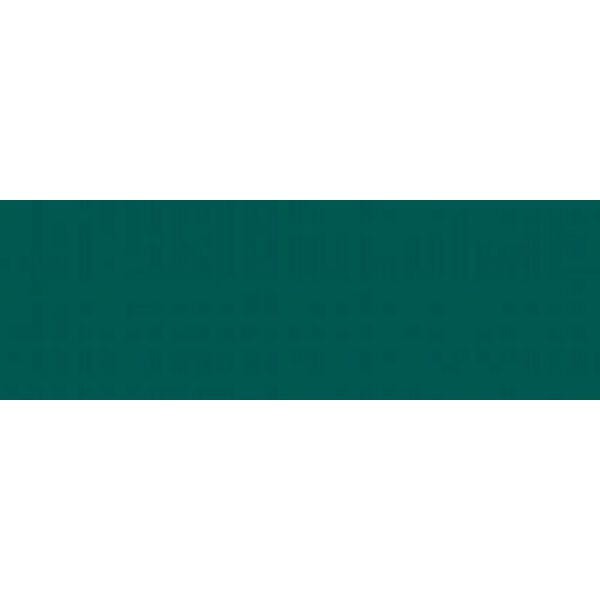 zdjęcie bianca emerald forest płytka ścienna 25x75 