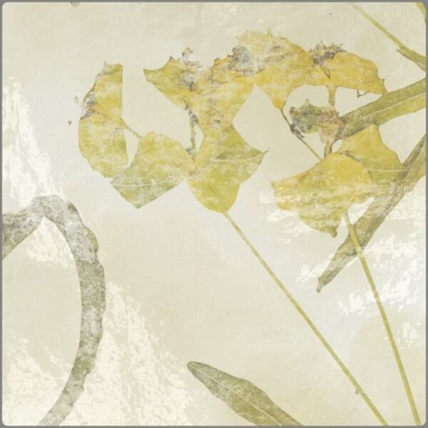 zdjęcie carmen ceramic art kasbah ocre mix płytka ścienna 13x13 