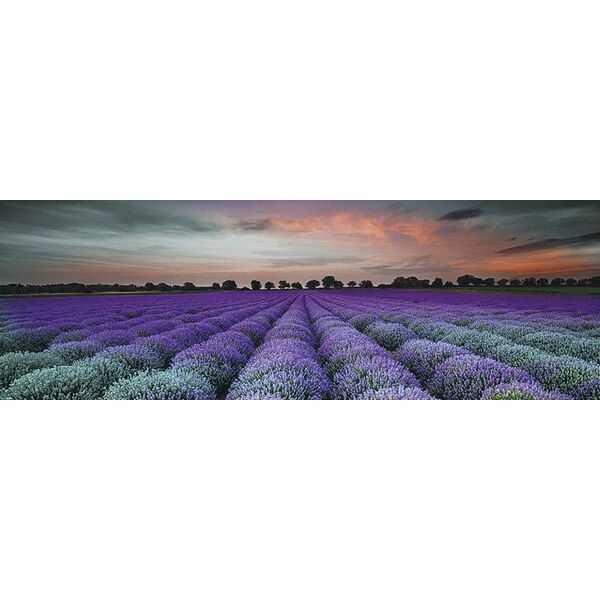 ceramika końskie milano lavender field glass dekor 25x75 