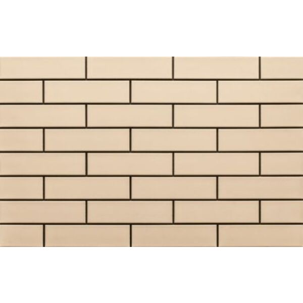 zdjęcie cerrad krem gładka elewacja mat 6.5x24.5 