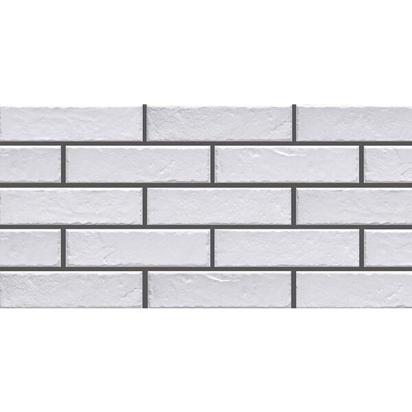 zdjęcie cerrad foggia bianco płytka elewacyjna 6.5x24.5 