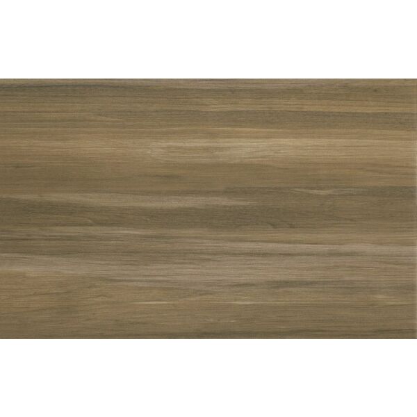 zdjęcie cersanit ambio ps207 brown płytka ścienna 25x40 g1 