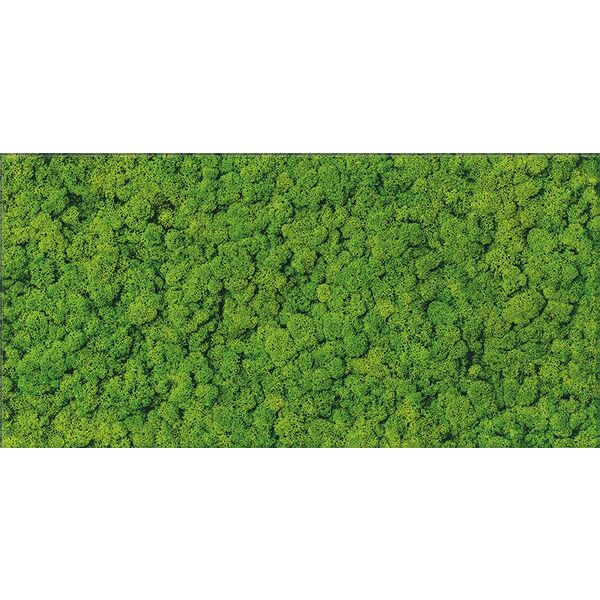 zdjęcie cersanit fresh moss glass dekor 29x59 