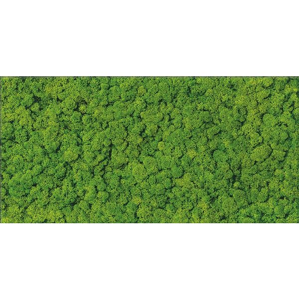 cersanit fresh moss glass dekor 29x59 płytki cersanit prostokątne na taras 30x60