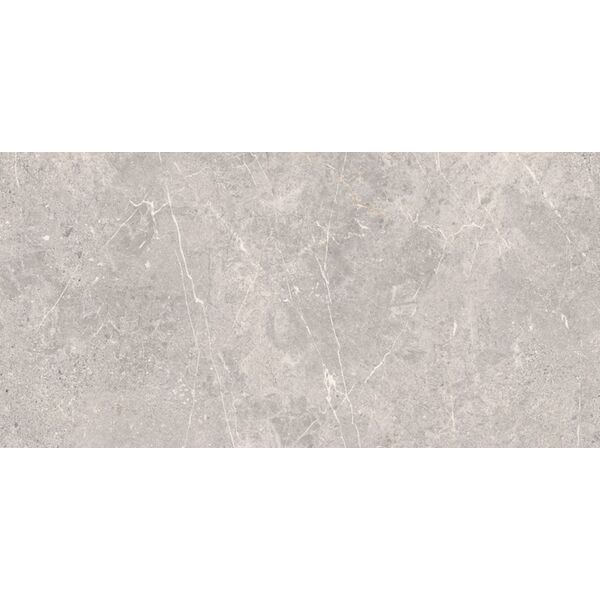 zdjęcie cersanit coldy grey gres matt rektyfikowany 59.8x119.8 