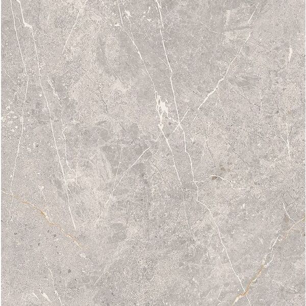 zdjęcie cersanit coldy grey gres matt rektyfikowany 59.8x59.8 