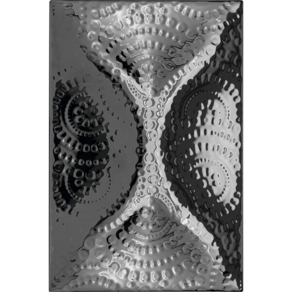 zdjęcie decus aspa plata dekor 10x15 