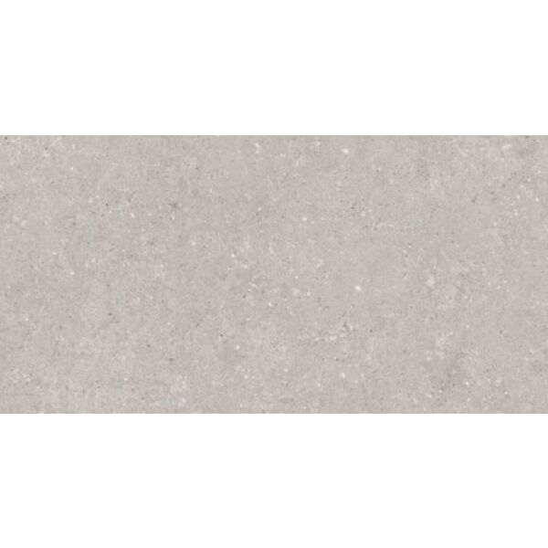 delconca wild hwd 05 grey gres rektyfikowany 60x120 płytki włoskie 120x60 o grubości od 8 do 10 mm