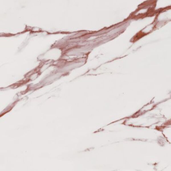 zdjęcie dune nusa gres poler rektyfikowany 90x90 (188633) 