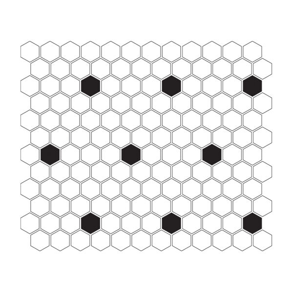 zdjęcie dunin mini hexagon b&w spot mozaika premium mat 26x30