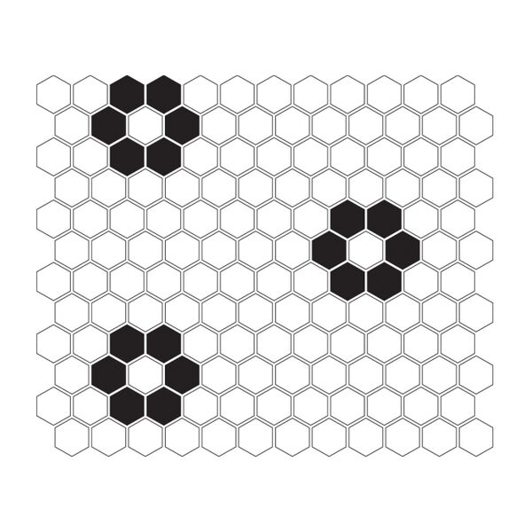 zdjęcie dunin mini hexagon b&w flower mozaika 26x30 
