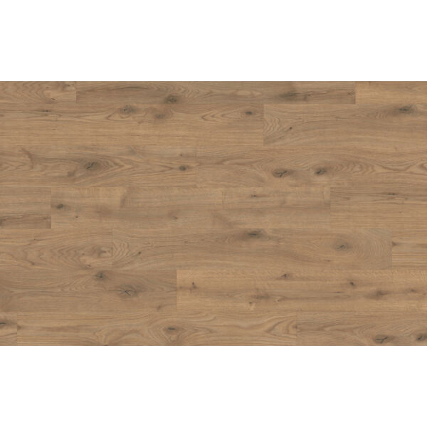 egger dąb almington naturalny epd041 panel podłogowy 129.2x19.3x0.75 