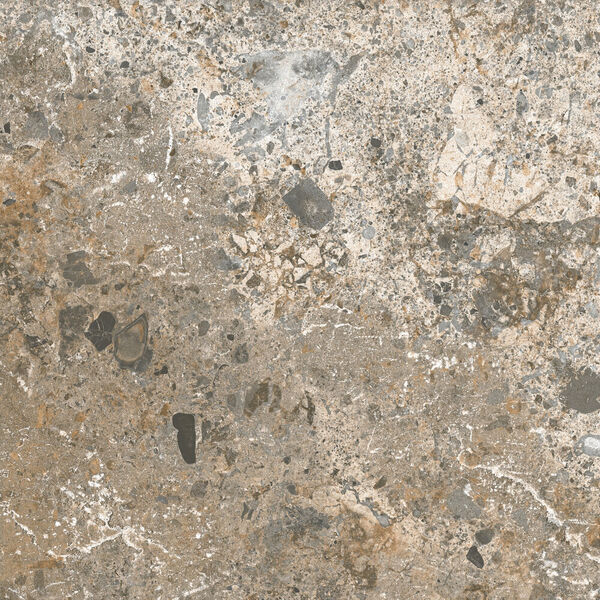 zdjęcie el molino camelot nature gres rektyfikowany 58x58 