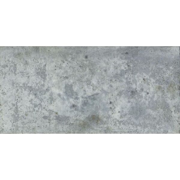 zdjęcie fabresa clemence forest płytka ścienna 10x20 