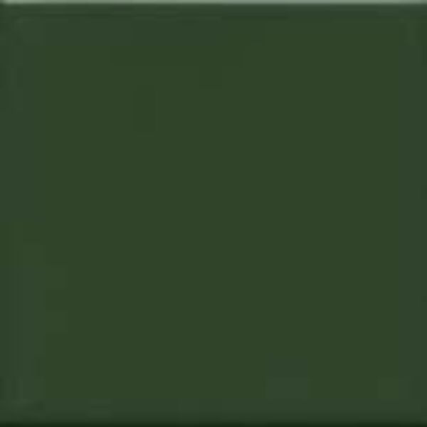 zdjęcie fabresa unicolor verde botella brillo płytka ścienna 15x15 