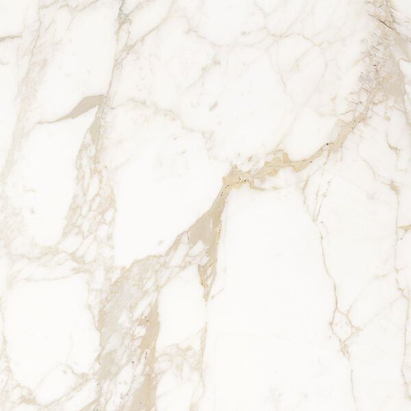 golden tile saint laurent white gres 60.7x60.7 