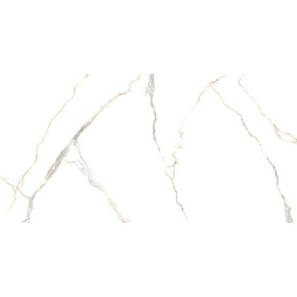 zdjęcie import acothley polished gres rektyfikowany 60x120 