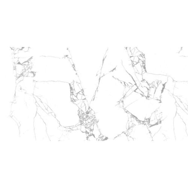 zdjęcie import zodiac white glossy gres rektyfikowany 60x120 