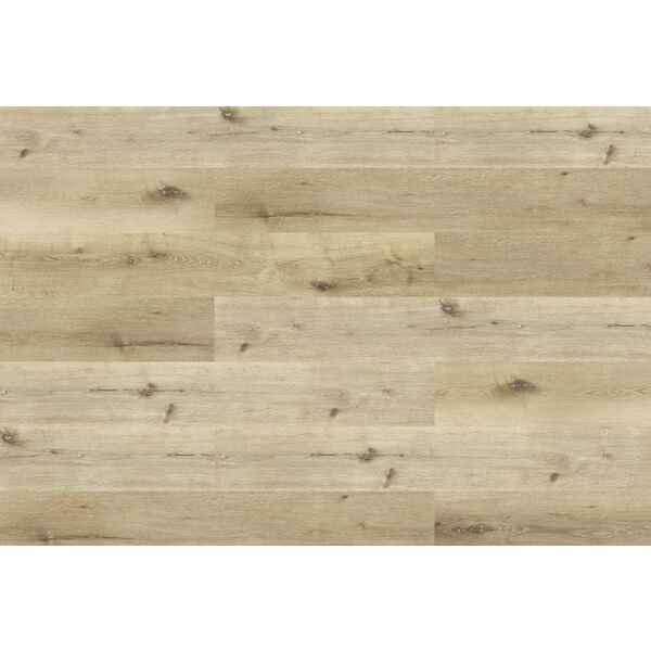 Korner Solid Floor Scandi Dąb Vinge SPC panel winylowy 124x18.2x0.5 (25-SPC-SOLID-18F)