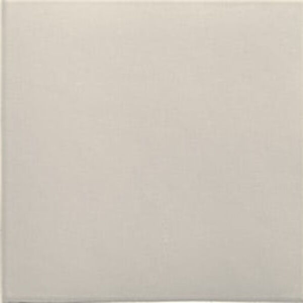 zdjęcie mainzu ceramica technical koala gres 20x20 