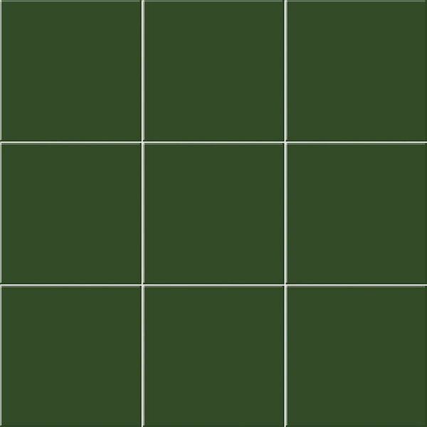 zdjęcie mainzu ceramica verde brillo płytka ścienna 20x20 