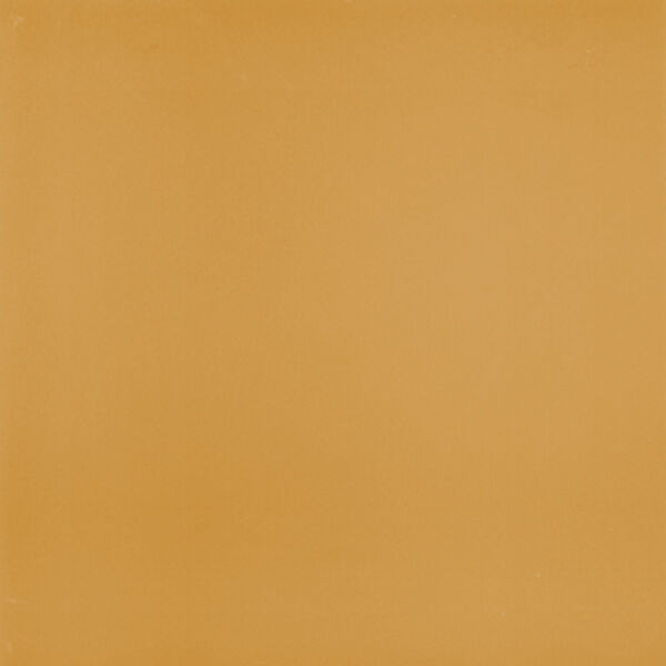 zdjęcie mainzu ceramica victorian ocre płytka podłogowa 20x20 