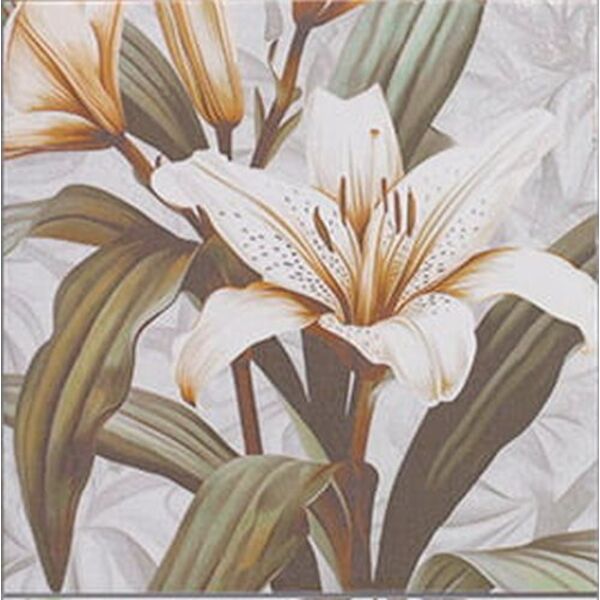 zdjęcie mainzu ceramica secrets white gres 20x20 