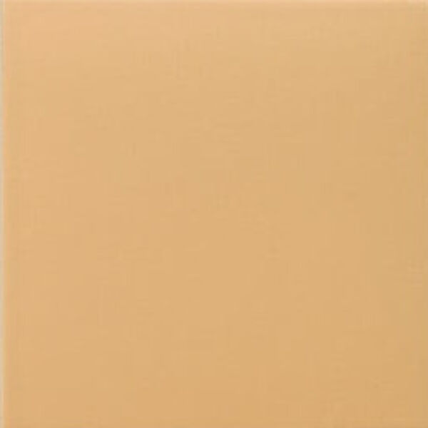 zdjęcie mainzu ceramica technical tangerine gres 20x20 