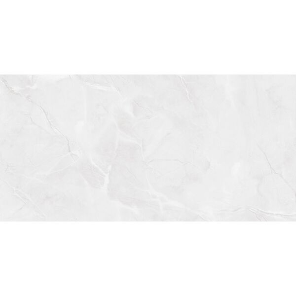 zdjęcie maxibox alaska grey light polished 60x120 